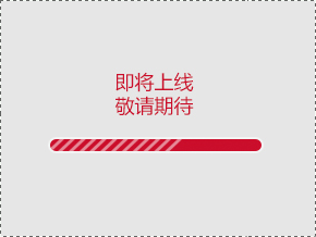 1452656333